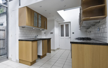 Blairhill kitchen extension leads